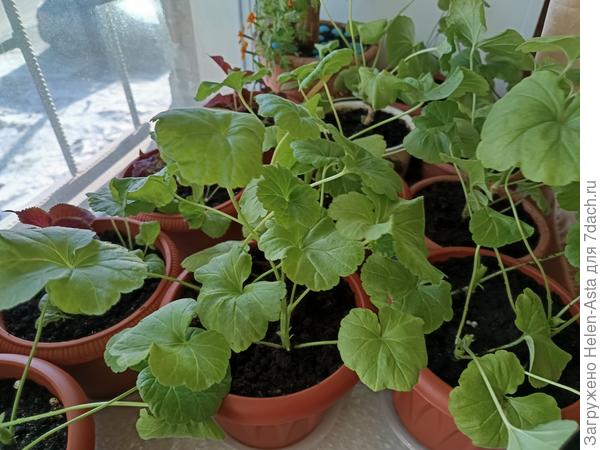 Мои новинки этого года