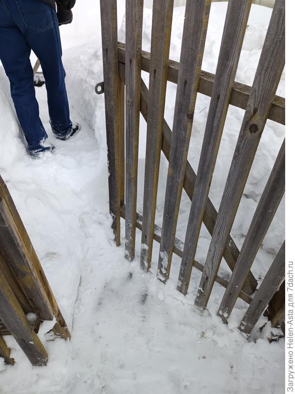 Калитку едва открыли