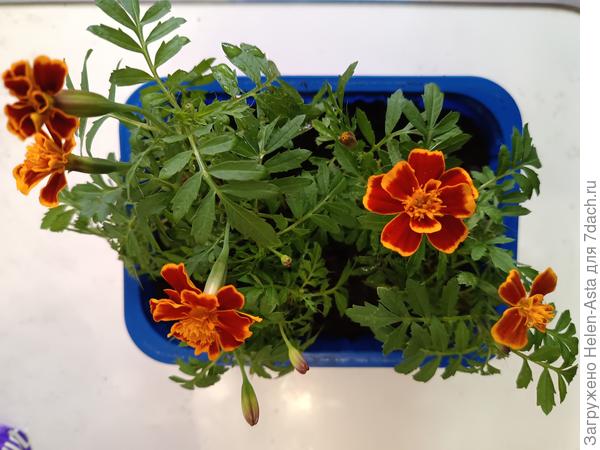 К высадке готовы!