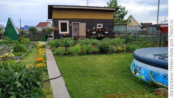 А это 2022, здесь Немезия под окном