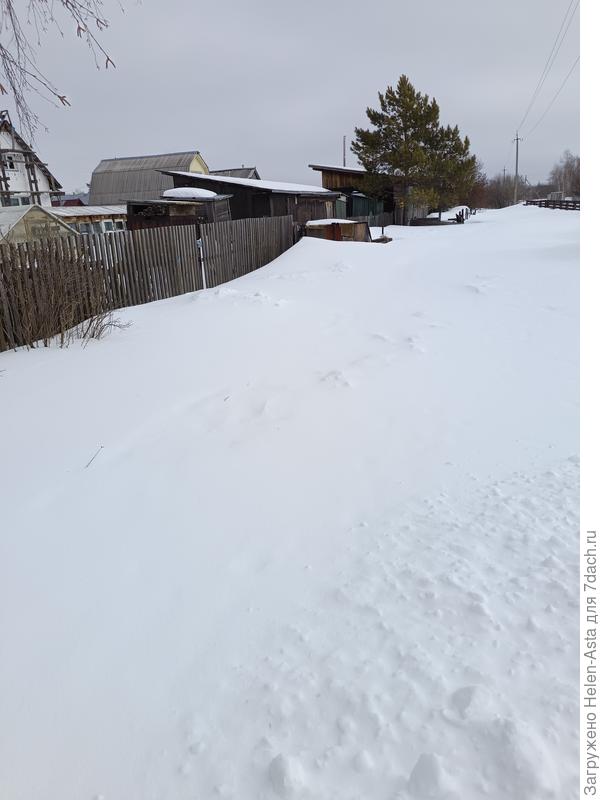 Забор с южной стороны. Снег кое-где вровень с забором.