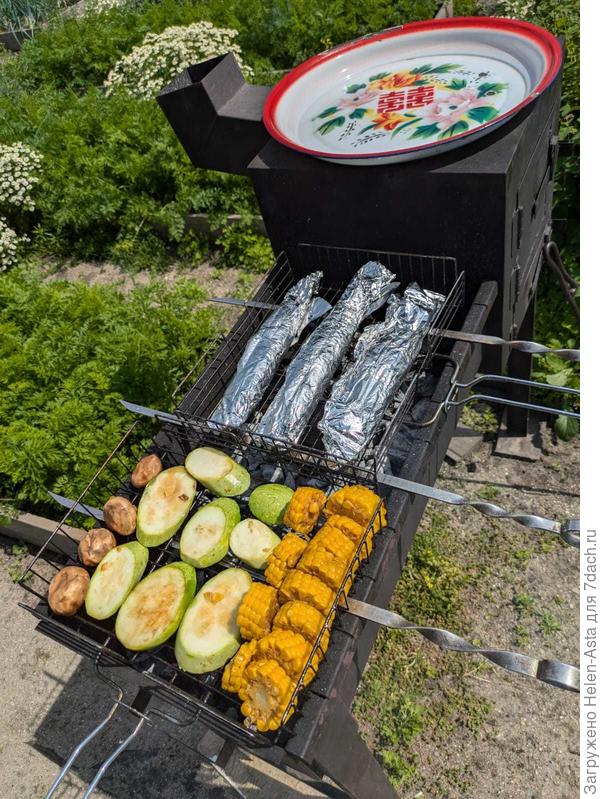Первый кабачок, выращенный в теплице, на гриль попал в июле, не смотря на проблемы с мучнистой росой