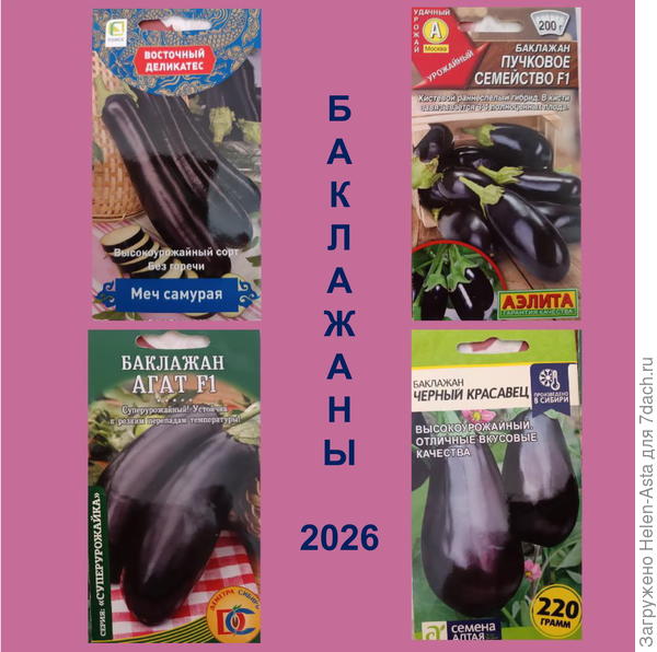 Фавориты