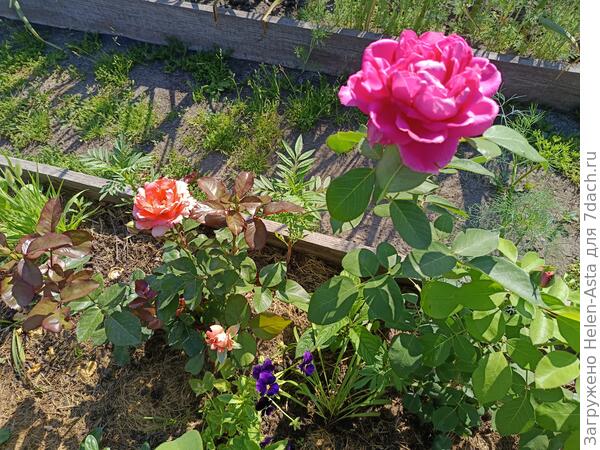 В июне были невысокие