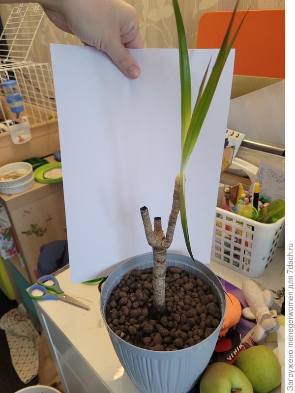 Ну собственно всё. Видимо его уже не спасти ...