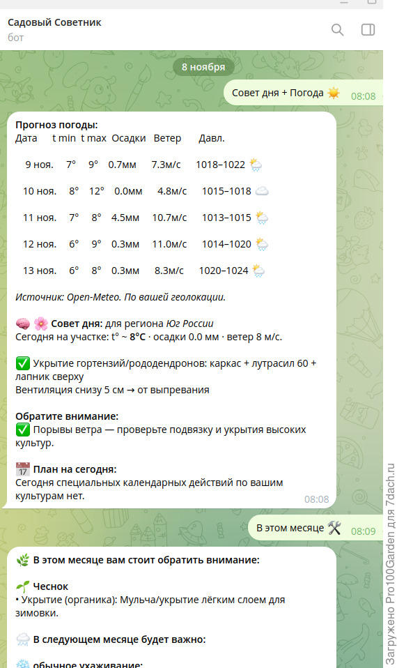 клевая штука со слов жены