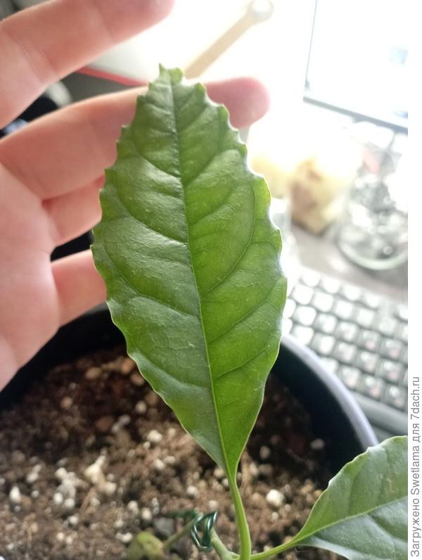 Почему такое волнение?