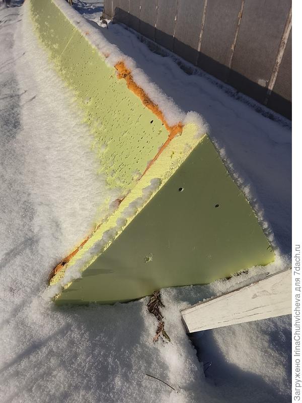 столовый виноград без теплицы