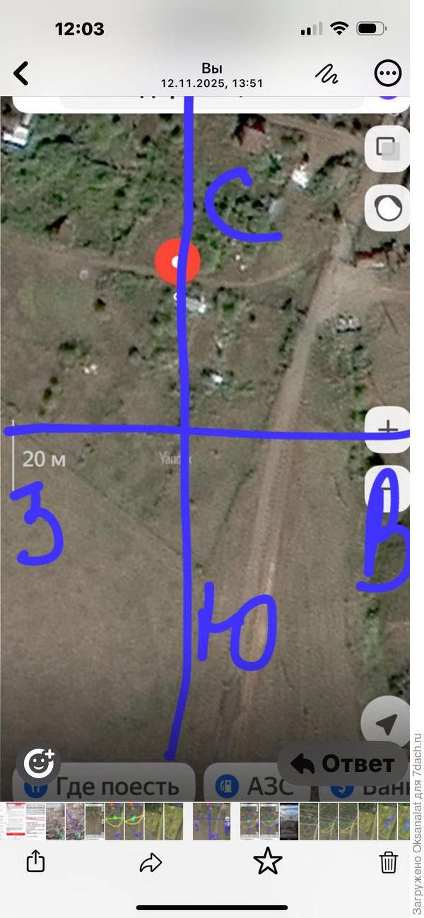 Стороны света