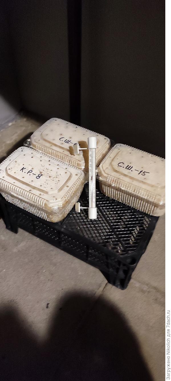 В погребе ( подвале)