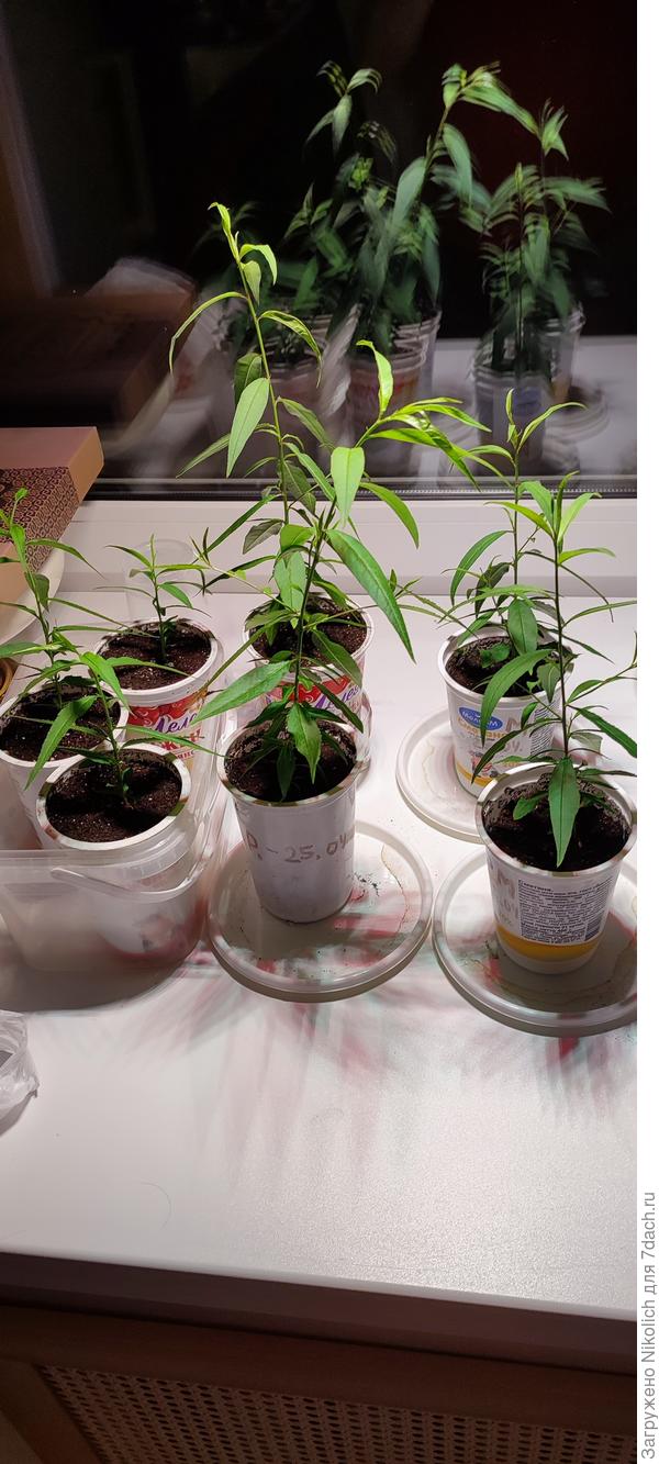 Итог 28 мая 2023