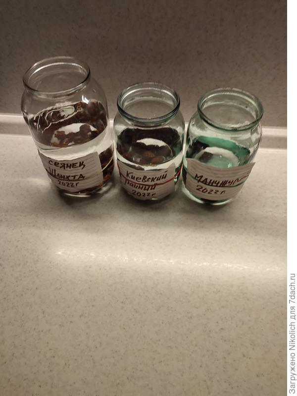 замачивание...