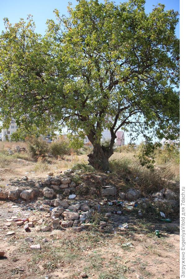 Что на фото?