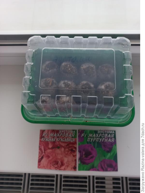 16 декабря посев 10 с.емян