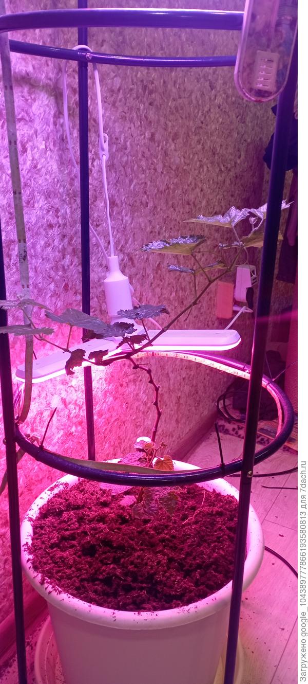 и сейчас он такой