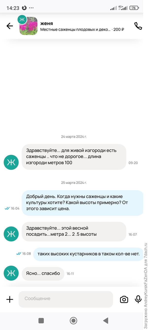 Газель высоких кустарников хочет.