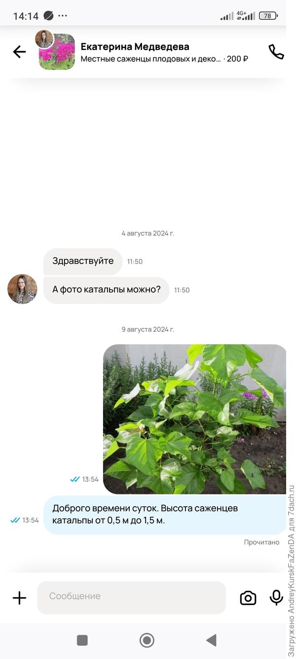 Катальпой вот задолбали тоже. Берут, в общем (в разные годы по-разному - в один год одни культуры часто спрашивают и берут, в другие - другие) шелковицы, войлочную, сирень, спиреи, гортензии, пузыреплодники, липы, берëзы, робинию псевдоакацию, каштан и пр. А вот грецкие и лещина, как сливы и вишни - никому не нужны.. Ну, мало кому. Лет 10-15 назад грецкий, правда, хорошо брали.