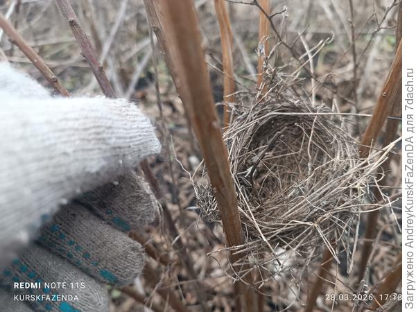 Размером с зефир.