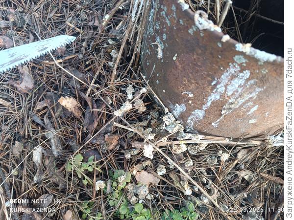 У штамба вот так наложено.