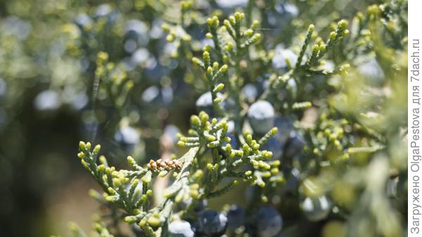 Кадр поближе