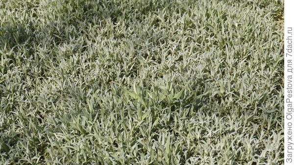 Кадр поближе