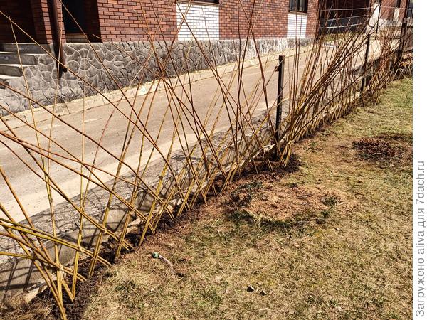 Сплетён первый ряд