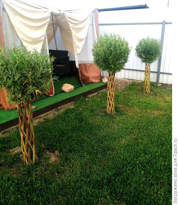 Правильная форма для первого года