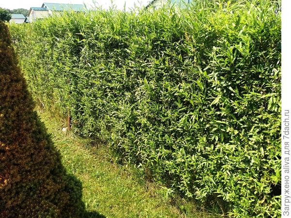 И это только начало