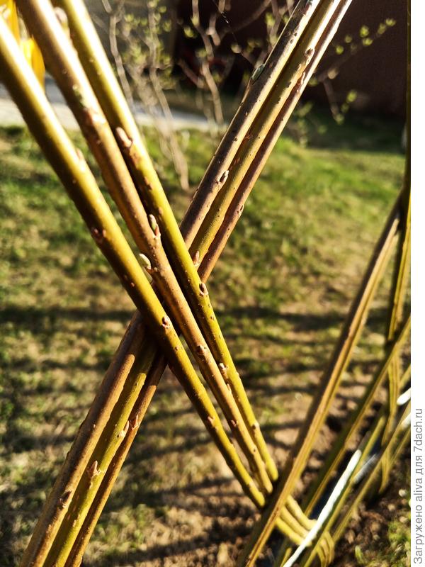 Идеальная геометрия на старте