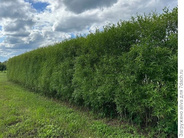 Когда знал - для чего и всё продумал