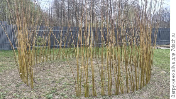 Чертим круг и вставляем пруты