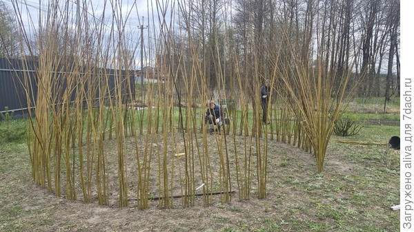 Плетём первый ряд.