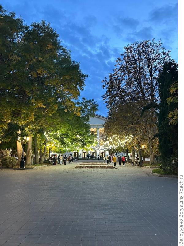 помогите определить, пожалуйста, что за дерево на фото