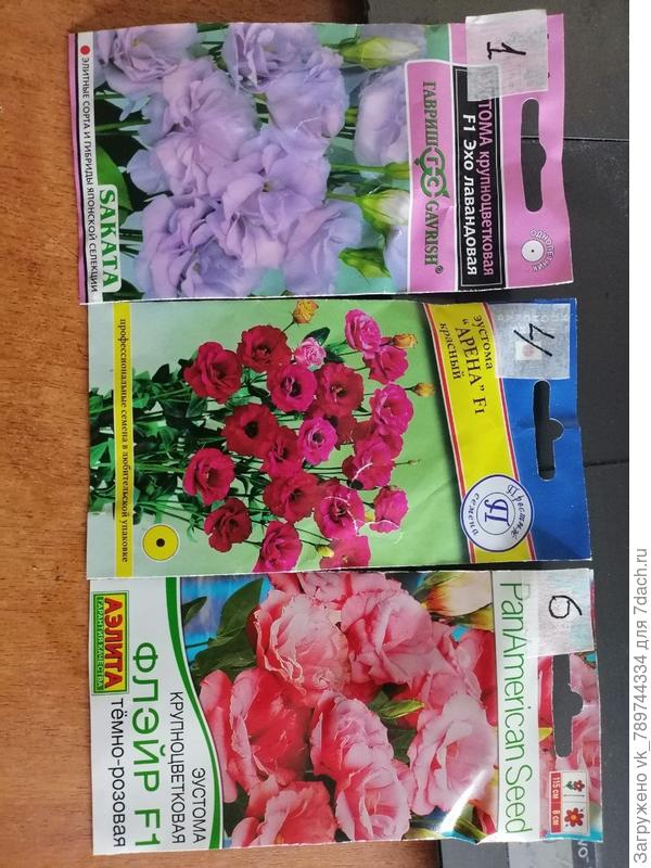 под этими номерами оказались бракованные семена. Так как условия посева и выращивания одинаковы.