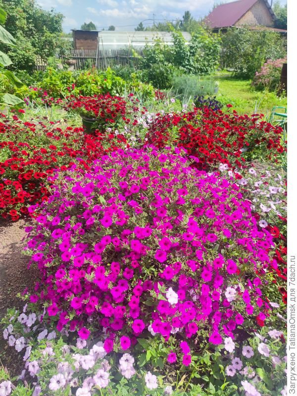 В полубочках и ОГ...