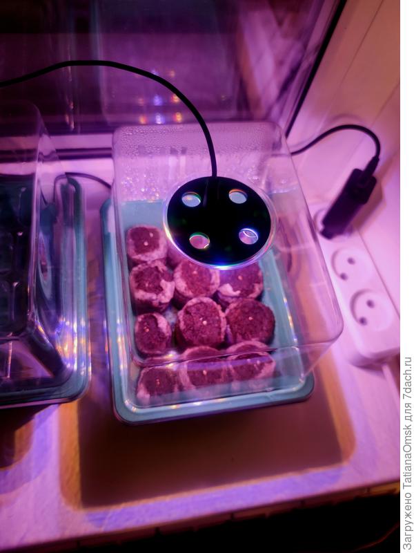 Я в этом году вот такую приблуду решила испытать, результатом поделюсь)