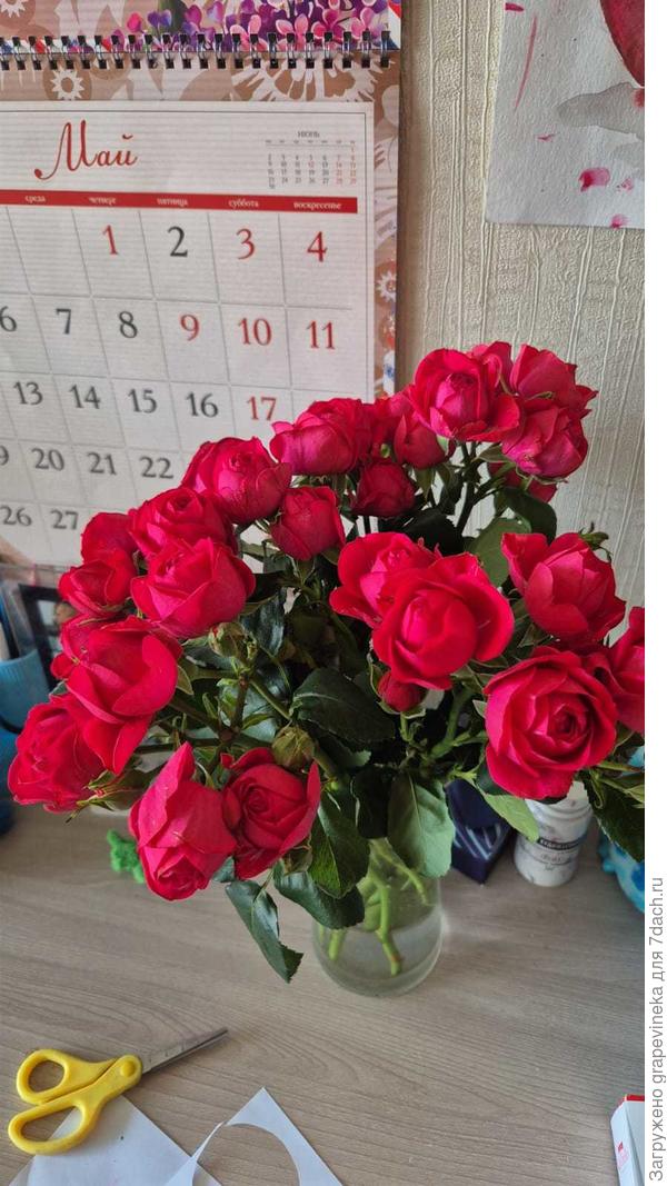 От этих роз черенок