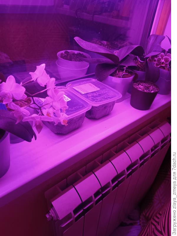 Батарея отключена