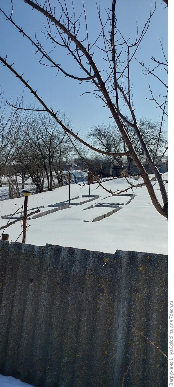 Грядки под укрытием)