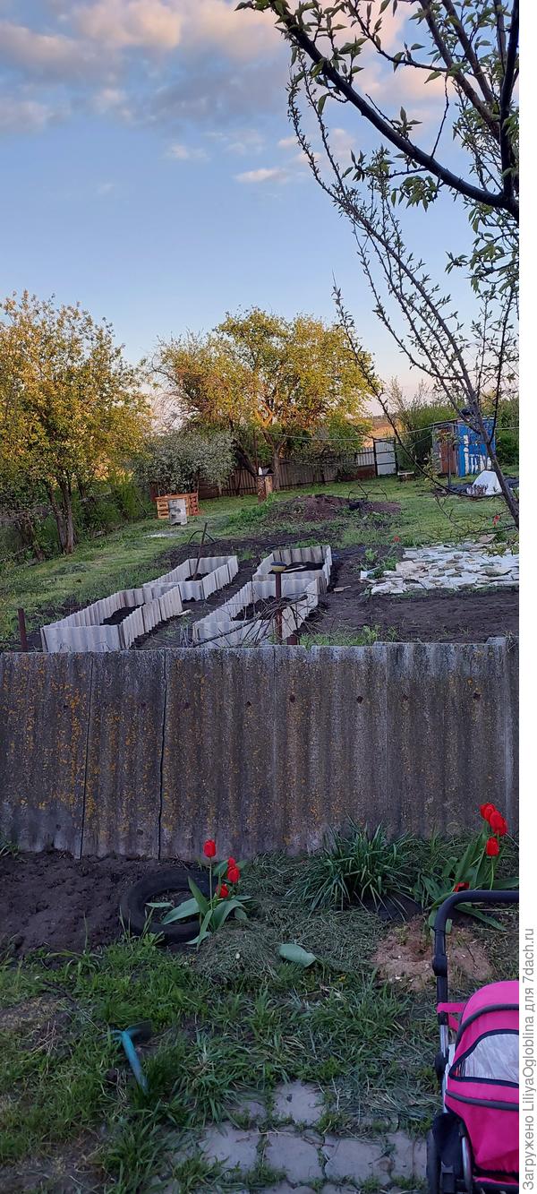 Другая сторона участка