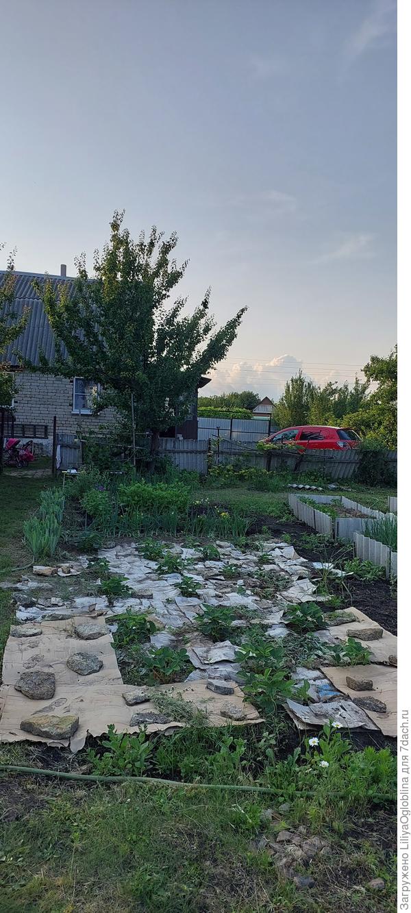 Другой ракурс