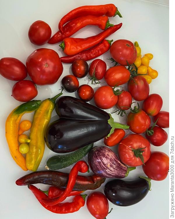 Ну, сворачиваюсь, прошу строго не судить, я только учусь, делаю всё в удовольствие)