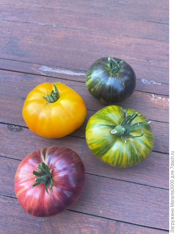 Вообще прошлый год ознаменовался для меня ярким ассорти, благодаря заказанным семенам сортовых томатов, у селекционера в ВК. Это было очень красиво, ярко, но не всегда так вкусно, как ожидалось! Я понимаю, что многое зависит от агротехники, и всё же, некоторые сорта огорчили.