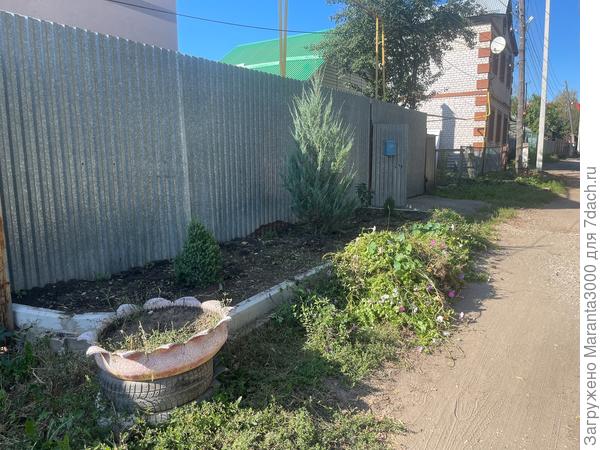 Перед отпуском я зачистила периметр, досрочно убрав петунии, хотя они могли ещё долго стоять и радовать, но отсутствие ухода в 2 недели по осени превратило бы клумбу в мочалку, а это радости не доставит никому.