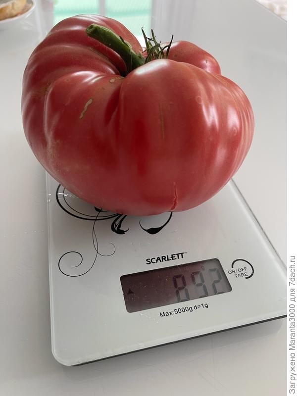 Кого я точно повторю, так это биф Астраханец - вот уж кто удивил, так удивил