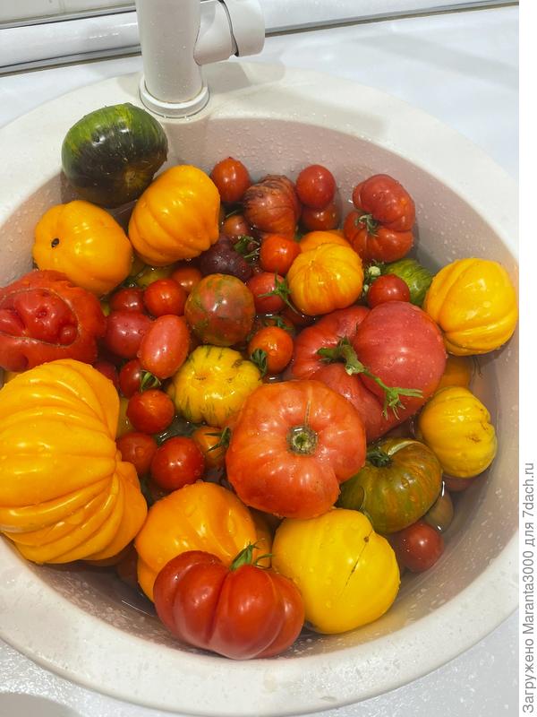 Ещё несколько общих планов