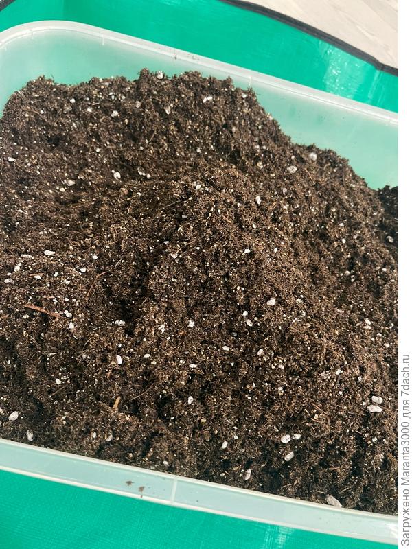 Вот такой грунт рыхлый сделала, в меру плотный.