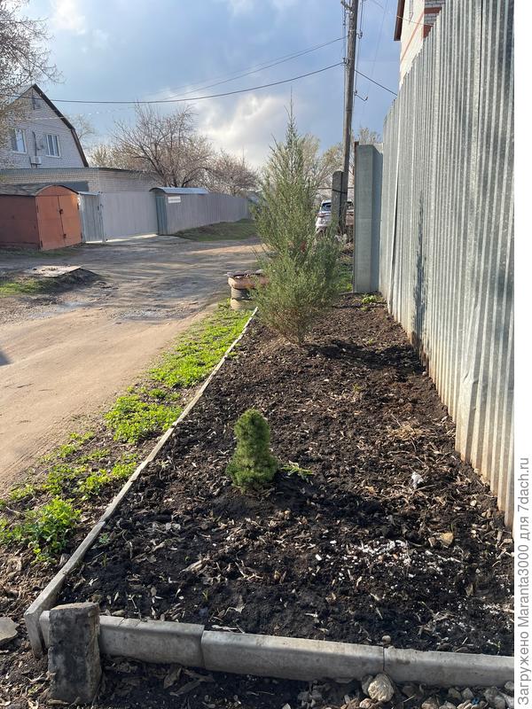 До установки нового бордюрного камня, весна 2025