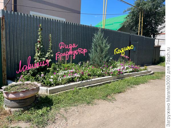 План посадки. На переднем плане уродливая старая клумба из покрышек - дом почти заброшен, собираюсь договориться с ними, чтобы выбросить её. Готова сделать это сама, лишь бы разрешение дали, так бесит она!