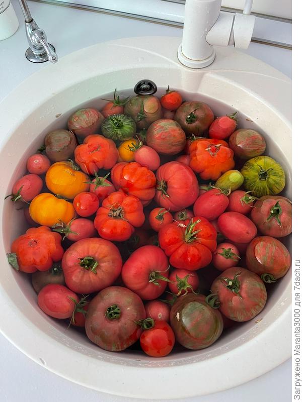 Хош такие, хош другие